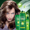 Fructis