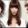 Remy Collection