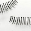 Kiss Eyelashes