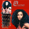 LA Trend Extensions