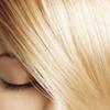 Phyto Oily Scalp