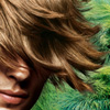 Phyto Thinning Hair