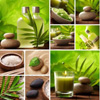 Ayumi Naturals