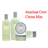 Citrus Mint
