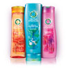 Herbal Essences