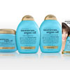 Argan Oil of Morocco