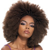 Afro Kinky Braids