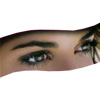 EyeBrow Makeup