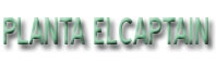 El