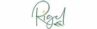 Rigel