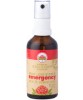 Love System Emergency Mist