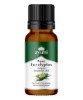 Pure Eucalyptus Essential Oil
