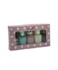 Nail Polish Gift Set