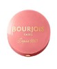 Little Round Pot Blusher 95 Rose De Jaspe