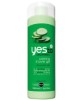 Cucumbers Calming Shower Gel