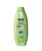 Aloe Vera Body Milk Lotion