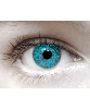 Daily Contact Lenses