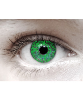 One Tone Green