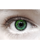 Two Tone Green