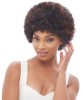 Janet HH Afro Wig