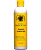 Jamaican Mango and Lime Tingle Shampoo