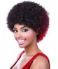 Syn Afro Wig