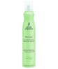 Natural Flexible Hold Memory Spray