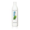 Biolage Scalptherapie Normalizing Shampoo