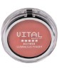 Luminous Finish Blusher 03 Desert Rose