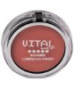 Luminous Finish Blusher 04 Rouge