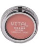 Luminous Finish Blusher 05 Pale Pal