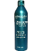 Coiffure Phase 3 Shape Lock Conditioning Neutralizer
