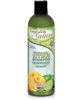 Conceived by Nature Moisturizing Citrus Shampoo