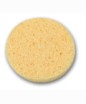 Imitation Sea Sponge S20