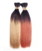 Premium Too HH Yaki Natural Bulk