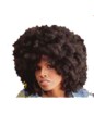 Twist Puff Wvg