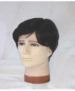 HH Peter Wig