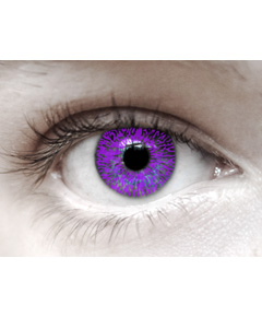 Eye Spy One Tone Voilet