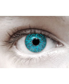 Eye Spy Daily Contact Lenses