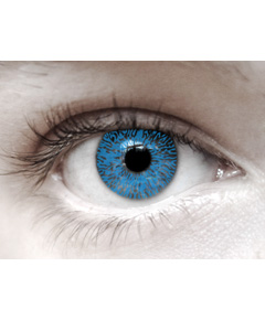 Eye Spy One Tone Blue
