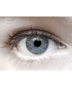 Eye Spy One Tone Grey