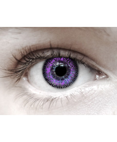 Eye Spy Two Tone Voilet