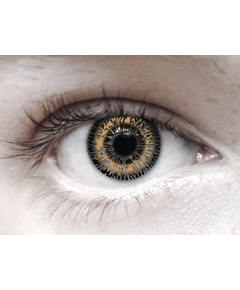 Eye Spy Two Tone Honey