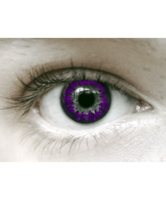 Eye Spy Three Tone Voilet