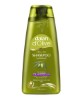 D Olive Olive Oil Color Protection Shampoo