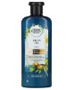 Argan Oil Shampoo
