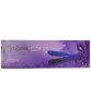 Pro Steam Brush