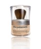 The Minerals True Match Mineral Powder Foundation