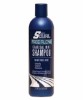 S Curl Free Flow Charcoal Mint Shampoo