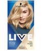 Live Intense Permanent Colour B10 Cool Blonde